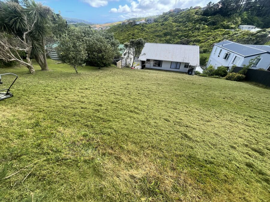 A steep backyard lawn mown to a clean finish