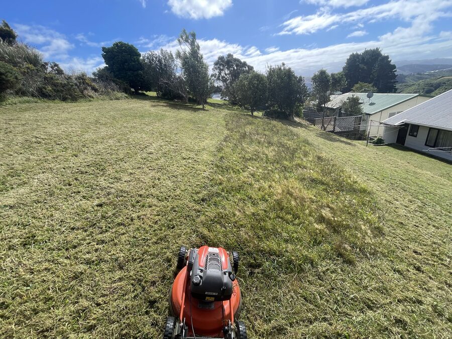 A red mower on a sloping field with fresh and longer grass visible