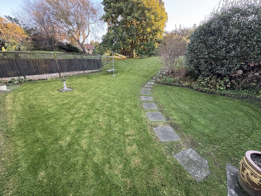 A garden with a stone stepping path and manicured borders